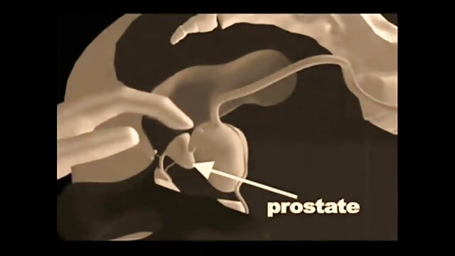 La lingua xxx video amatoriali gratis del mattino